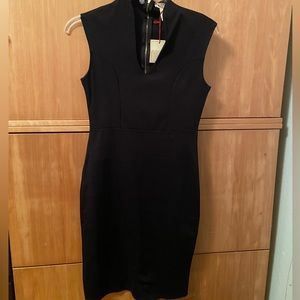 Rolls coster dress NWT